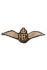 Royal Flying Corps cap badge