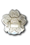 Tank Badge voor Dienstplichtingen