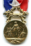 Gouden Medaille voor daden van moed en toewijding