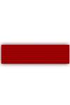 Orde van Viesturs, V. Klasse/Ridder