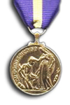 Service Medal 15 year