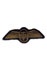 Air Transport Auxiliary Pilot Badge