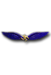 Civilian Pilot wing