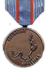 Medaille van de Weerstander tegen het Nazisme in de ingelijfde gebieden