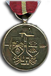 Blue Division Medal