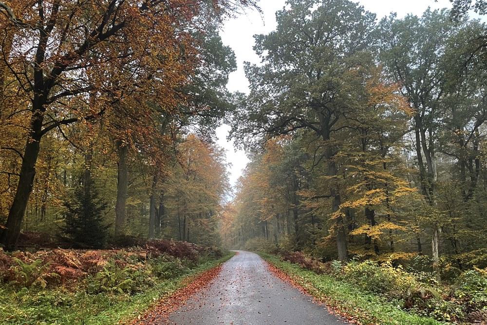 Dasselse dwangarbeiders: Herfst (1/5)