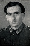 Volk, Willi